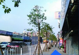 石夏路升級(jí)改造工程施工總承包